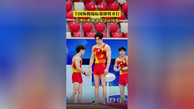 体操队备战全国锦标赛，升级训练团队助力备战的简单介绍
